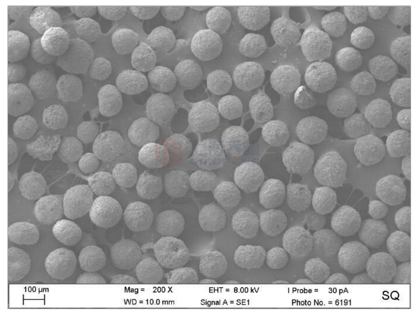 噴霧干燥機可同時完成干燥和造粒 噴霧干燥機可同時完成干燥和造粒